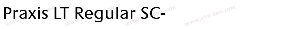 Praxis LT Regular SC字体转换